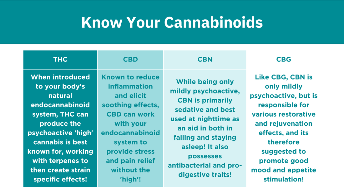 Picture, THC, CBD, CBN, CBG, Cannabinoids